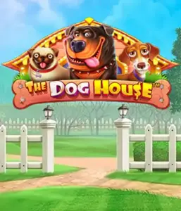 Experience Pragmatic Play's The Dog House Slot, bringing you a fun-filled experience into the world of lovable dogs. Engage in gameplay elements including multipliers, perfect for providing exciting wins. Perfect for those who enjoy a lighthearted setting alongside lucrative rewards.